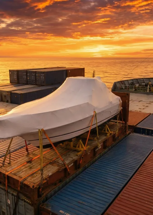 Carga Projeto/Especial